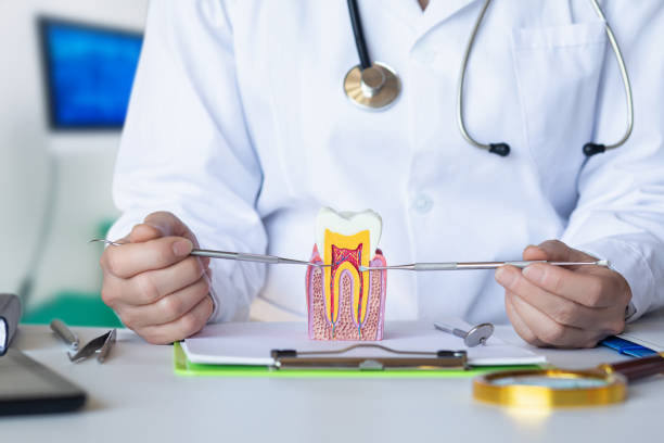 , NE Emergency Dental Service Company